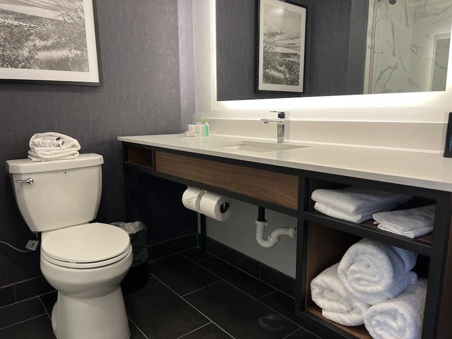 Tru By Hilton Fort Worth fossil Creek — Bathroom