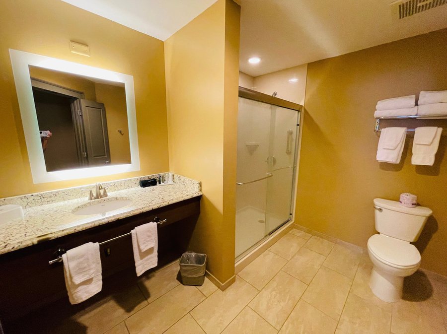 Tru by Hilton Greenville — Bathroom