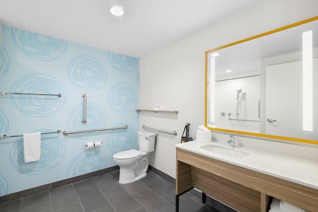Tru by Hilton Lexington Hamburg — Bathroom