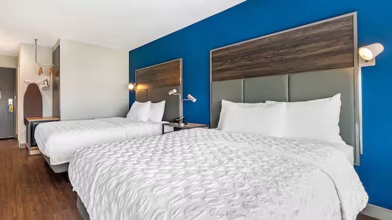 Tru by Hilton Lexington Hamburg — Guest room