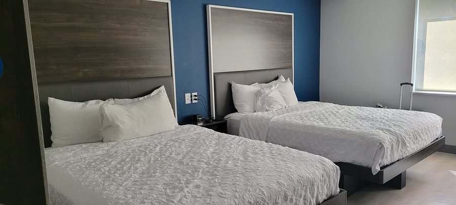 Tru by Hilton Syracuse North Airport Area — Guest room