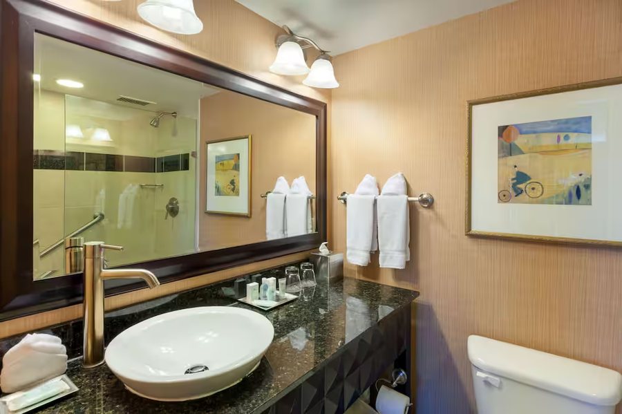 TRYP by Wyndham Pittsburgh Lawrenceville — Bathroom