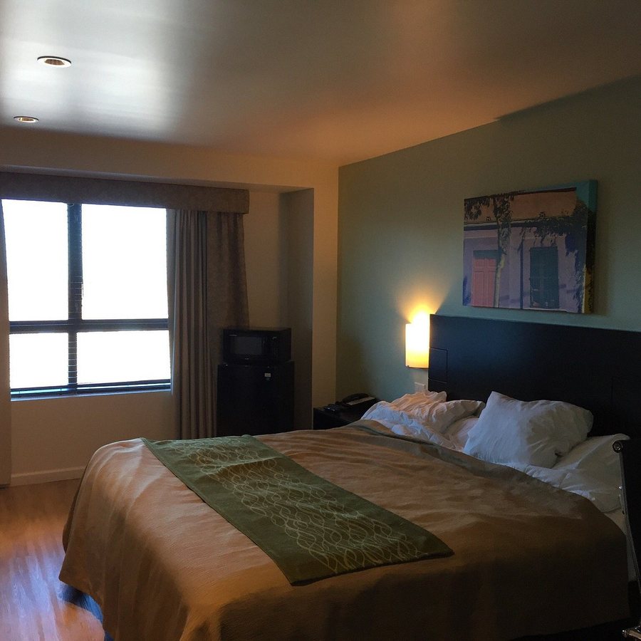 Umbrella Hotel Brooklyn New York City New York — Guest room