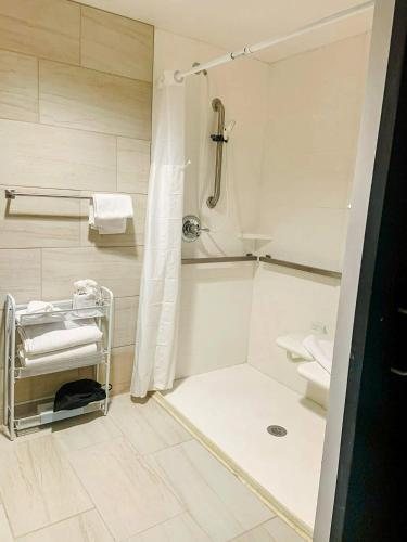 Unicoi State Park Lodge — Bathroom