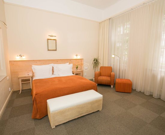 Unitas Hotel Prague Bohemia — Guest room