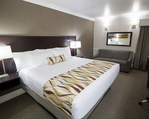University Inn — Guest room