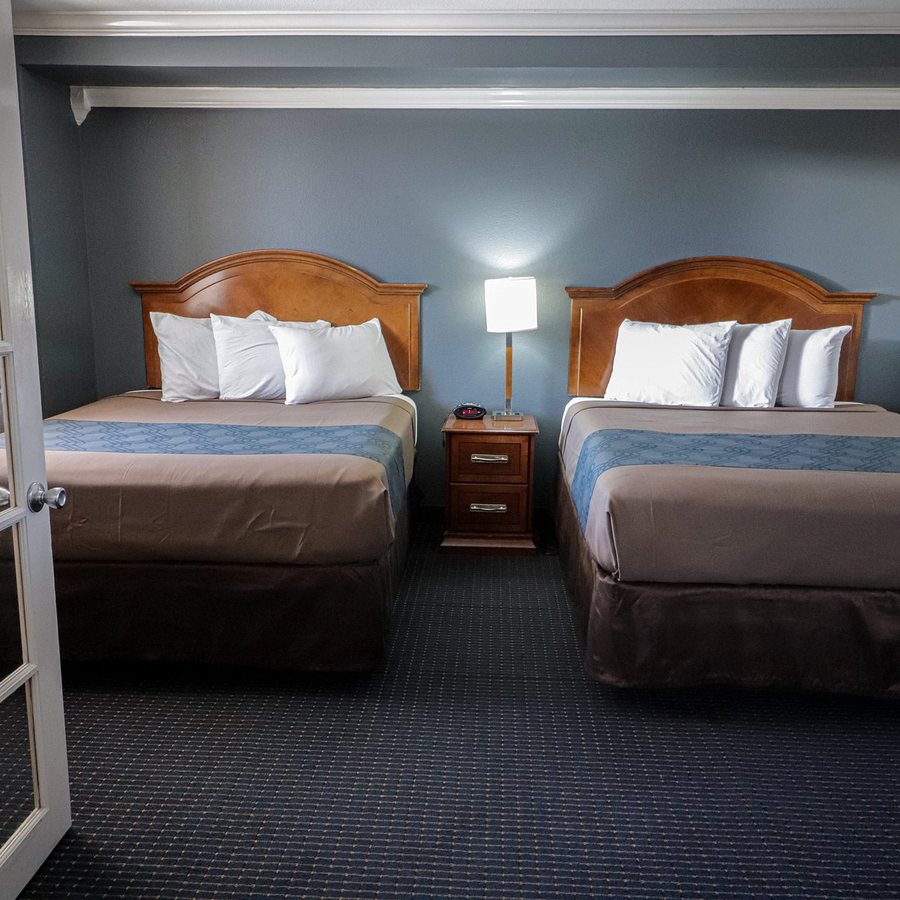 University Inn Suites — Guest room