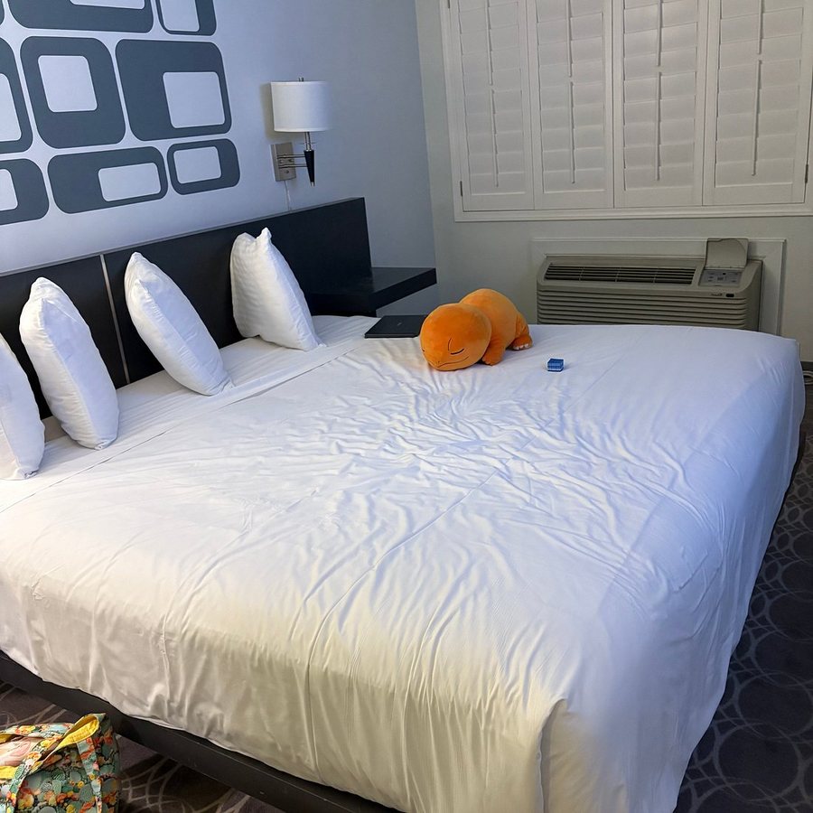 University Inn Suites — Guest room