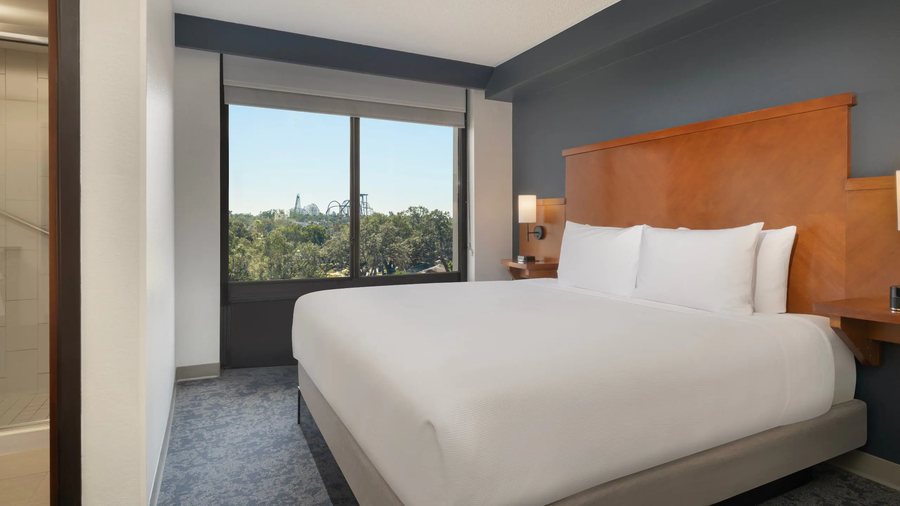 Value Lodge Busch Gardens — Guest room