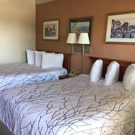 Van Ness Inn Hotel — Guest room