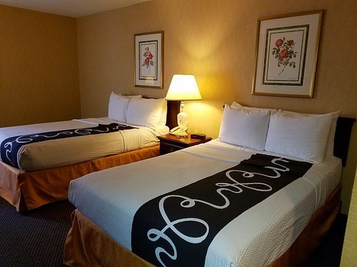 View Inn Suites — Guest room