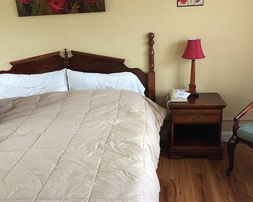 Vinehurst Inn And Suites — Guest room