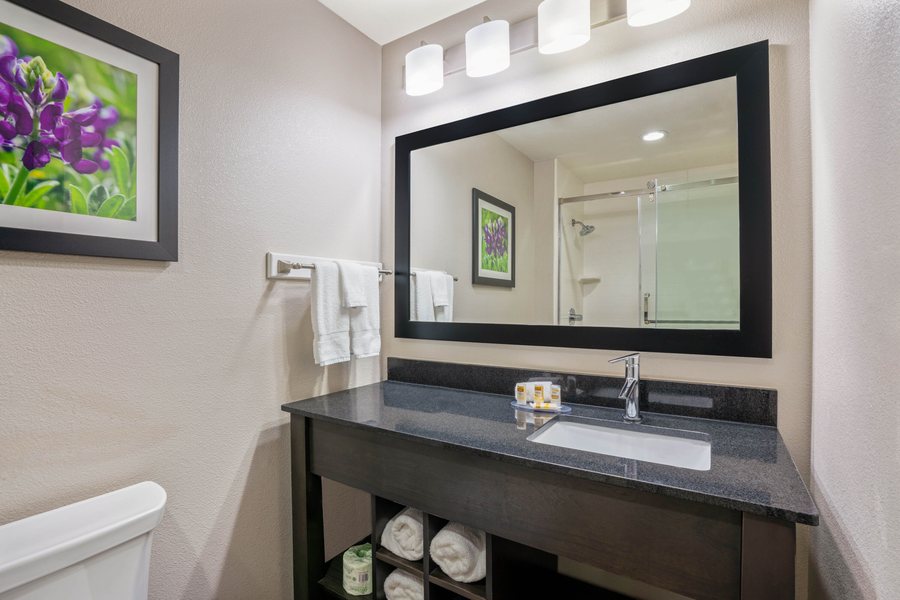 Vineyard Court Designer Suites — Bathroom