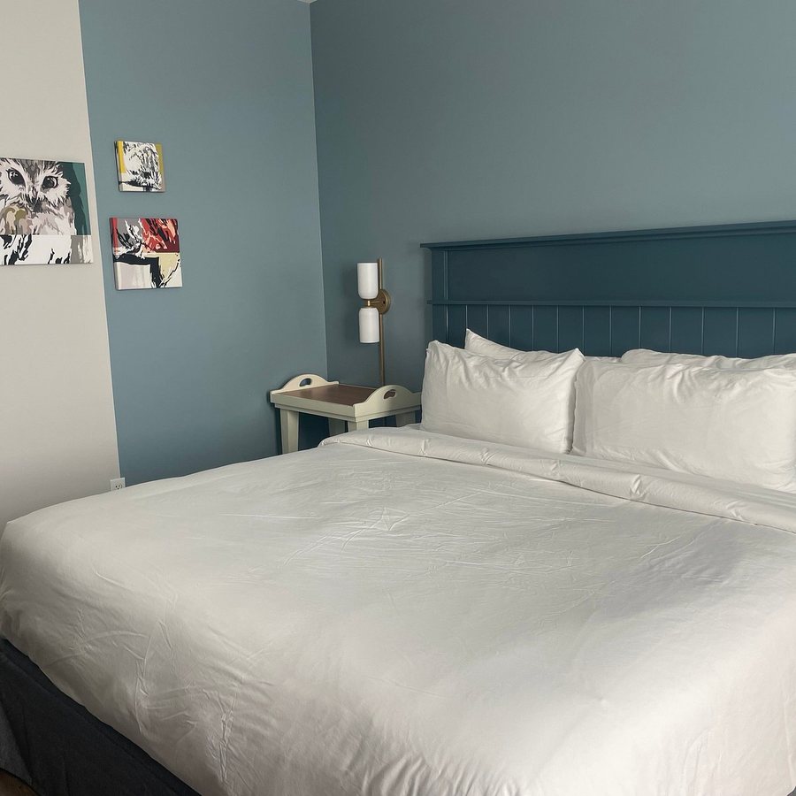 Voco Sarasota by IHG — Guest room