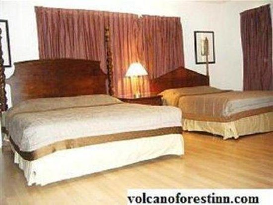 Volcano Forest Inn — Guest room