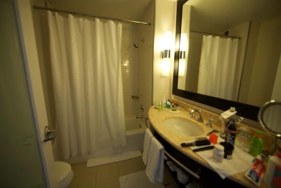 W New York Union Square New York City New York — Bathroom