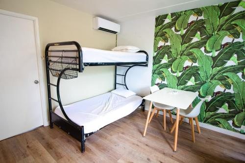 Waikiki Beachside Hostel — Guest room