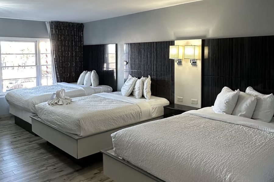 Water Front Marion Motor Lodge — Guest room
