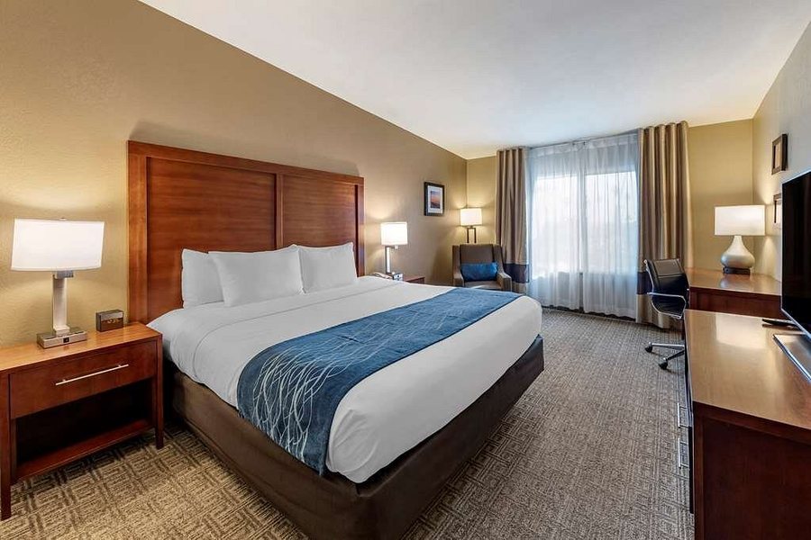 Waypoint Ventura — Guest room