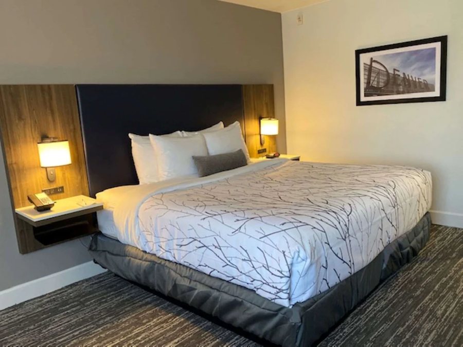 Western Motor Inn — Guest room
