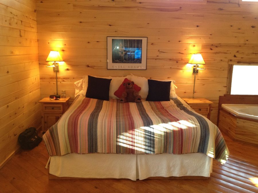 Whispering Pine Cabins — Guest room