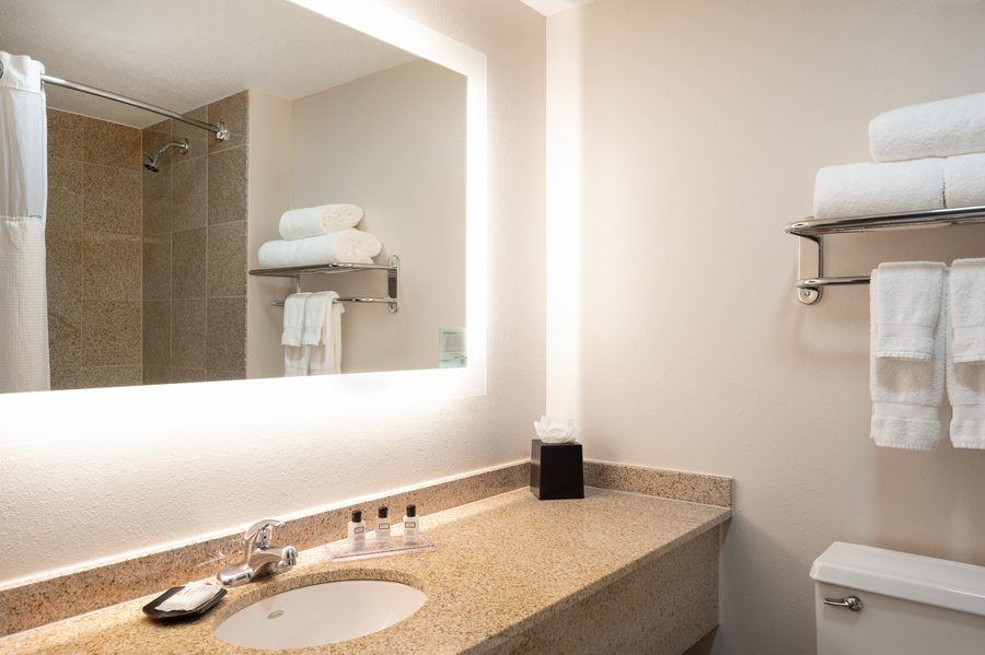 White House Suites Indianapolis Airport — Bathroom