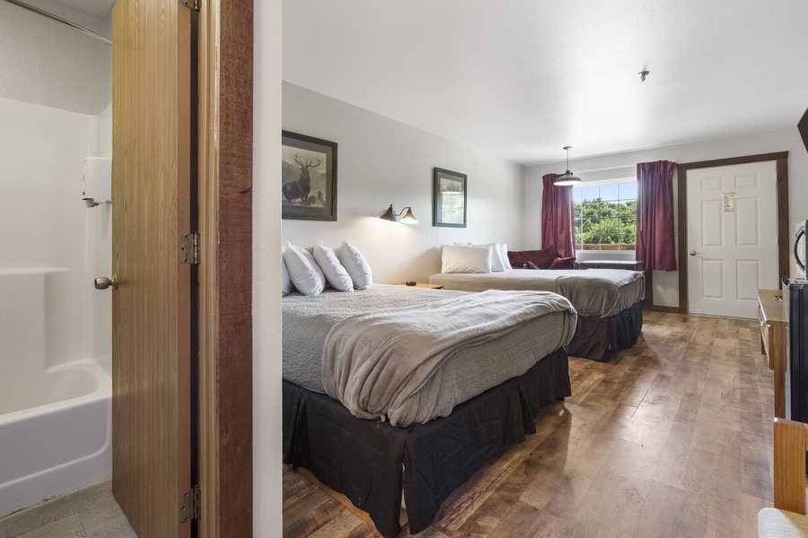 White Wing Lodge — Guest room