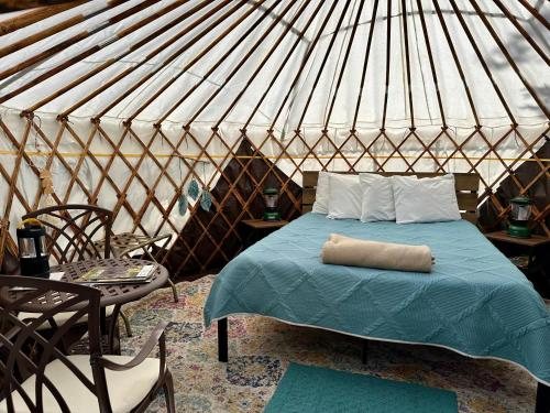 Whitetail Creek Resort — Guest room