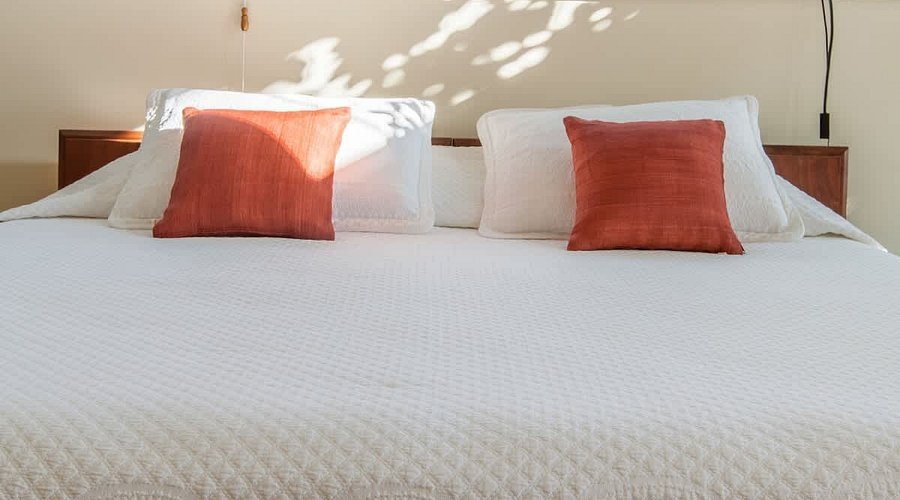 Whitford House Cottage — Guest room