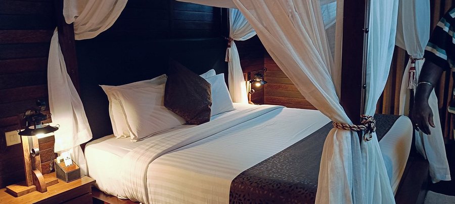 Wild Planet Resort — Guest room