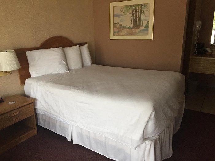 Willow Tree Inn — Guest room