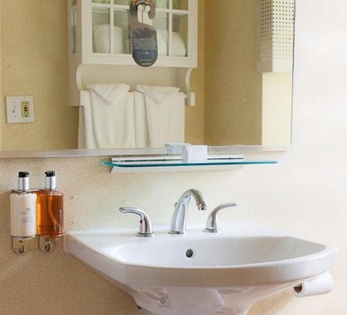 Willows Hotel Chicago Chicago Illinois — Bathroom