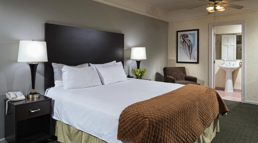 Willows Hotel Chicago Chicago Illinois — Guest room