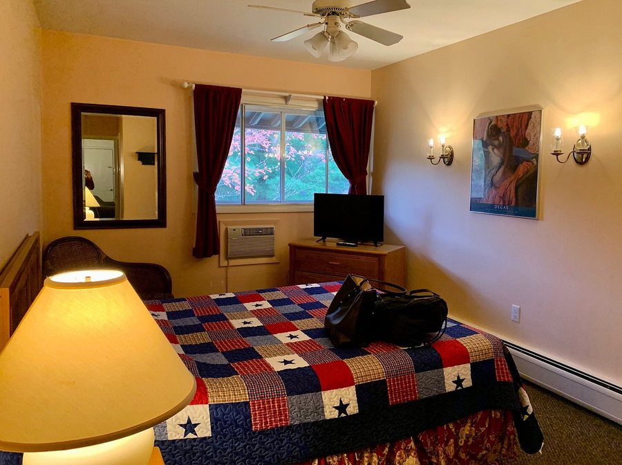 Wind in the Pines — Guest room