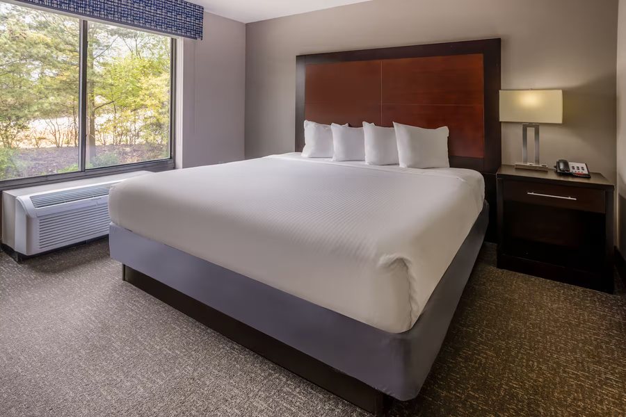 Wingate by Wyndham Atlanta Galleria Ballpark — Guest room