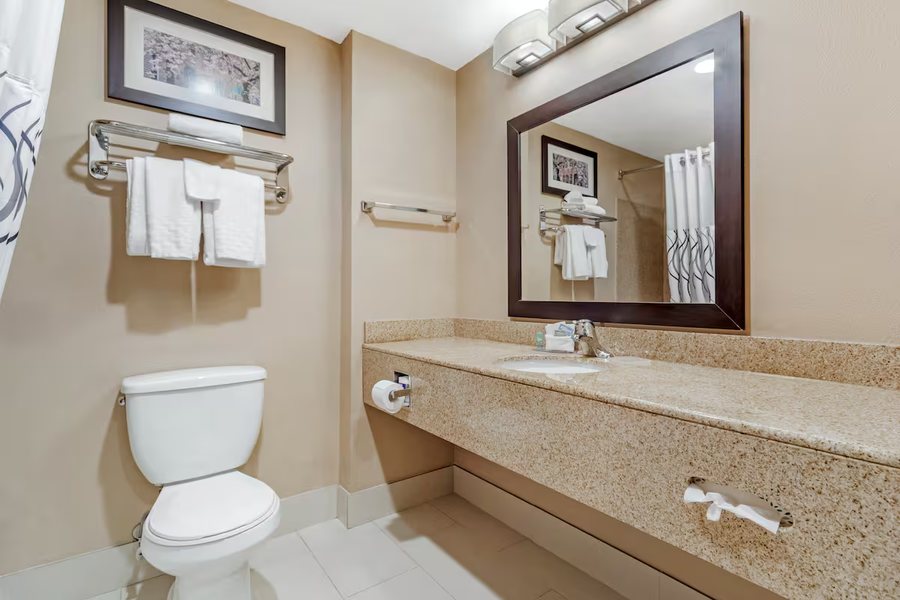 Wingate by Wyndham Dayton North — Bathroom