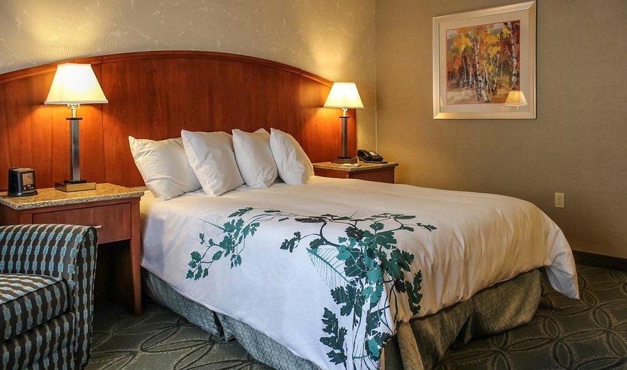 Wingate by Wyndham Elkins — Guest room