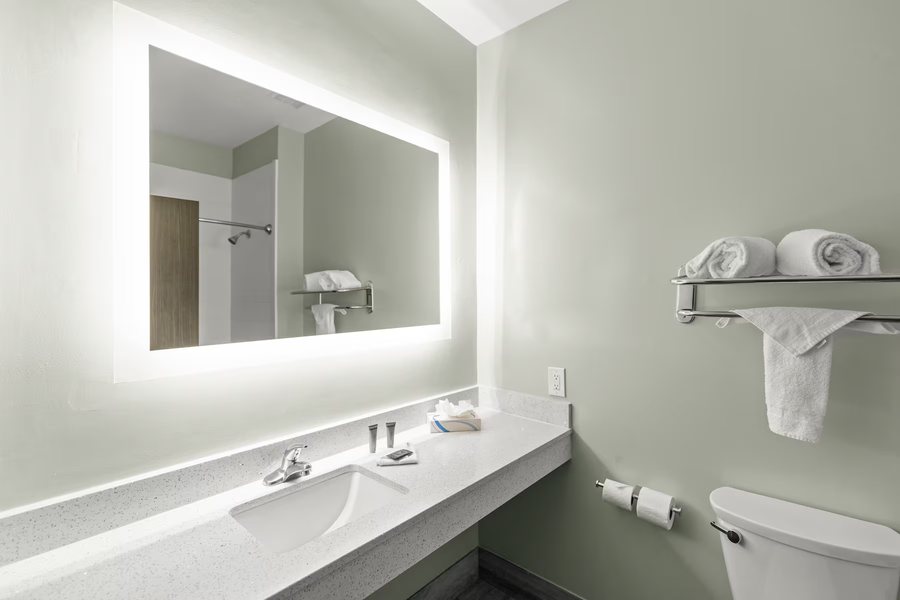 Wingate by Wyndham Houston Bush Intercontinental Airport — Bathroom