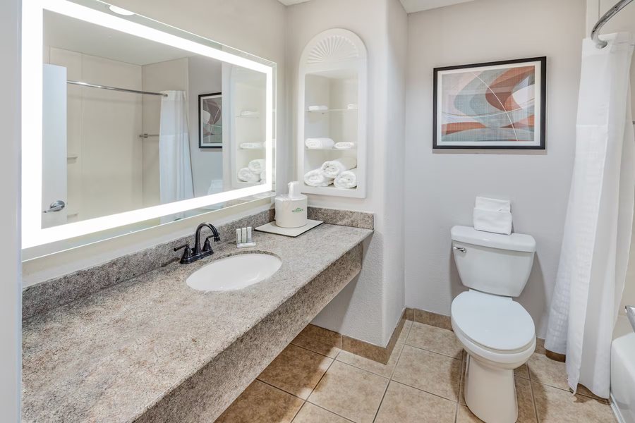 Wingate by Wyndham Houston Willowbrook — Bathroom