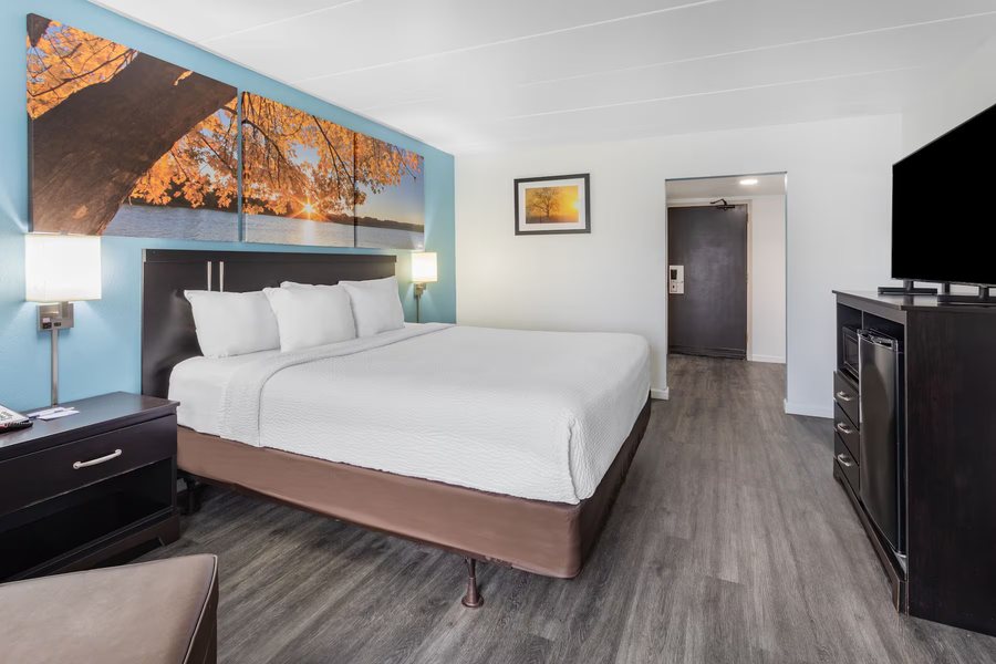 Wingate by Wyndham Livonia — Guest room