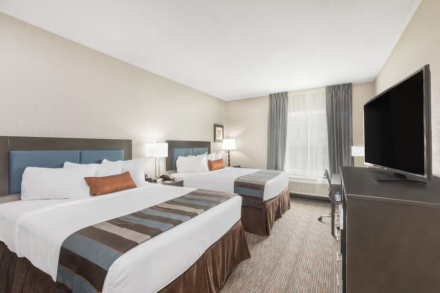 Wingate by Wyndham Lubbock Near Texas Tech Univ Medical Ctr — Guest room