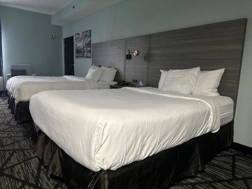 Wingate By Wyndham North Little Rock — Guest room