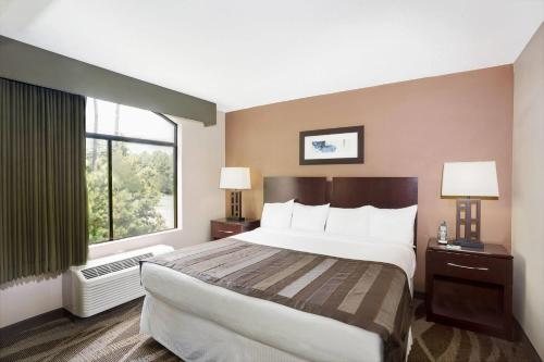 Wingate By Wyndham Raleigh Durham Airport — Guest room