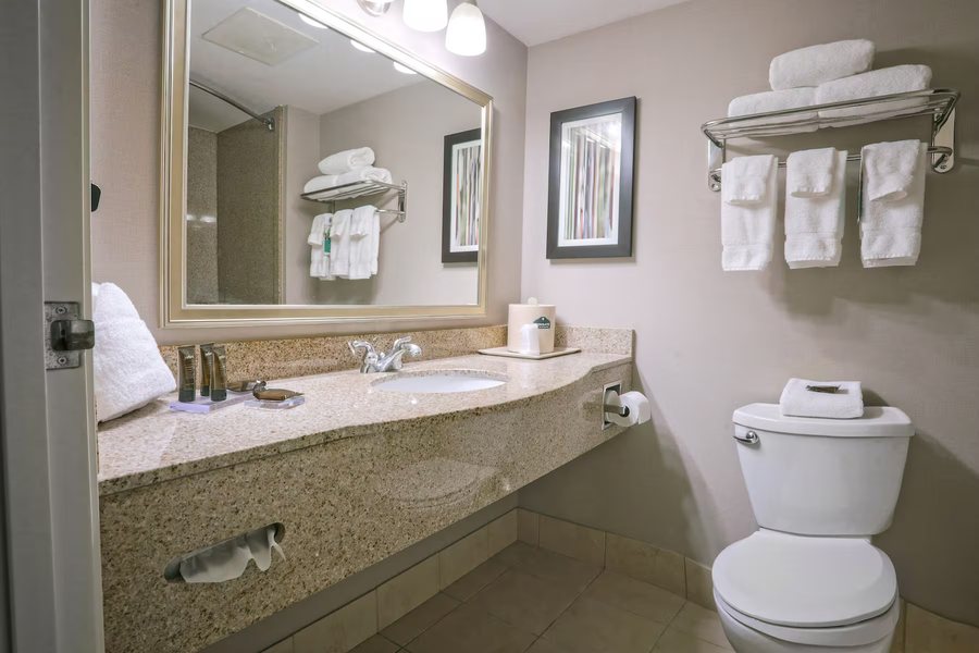 Wingate by Wyndham Savannah Airport — Bathroom