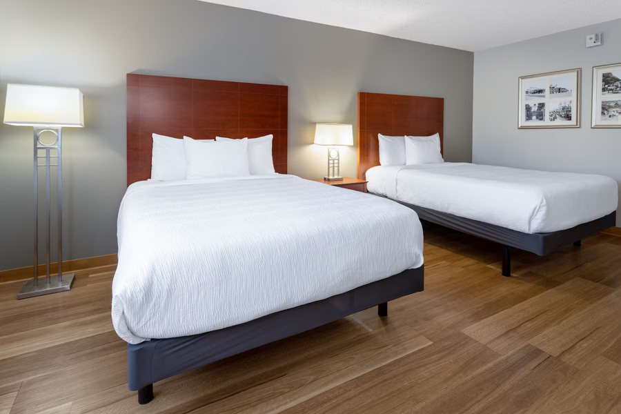 Wingate by Wyndham Valdosta Moody AFB — Guest room