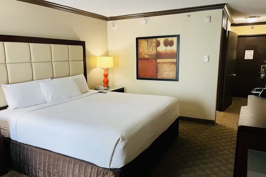 Wingate Houston Near NRG Park Medical Center — Guest room
