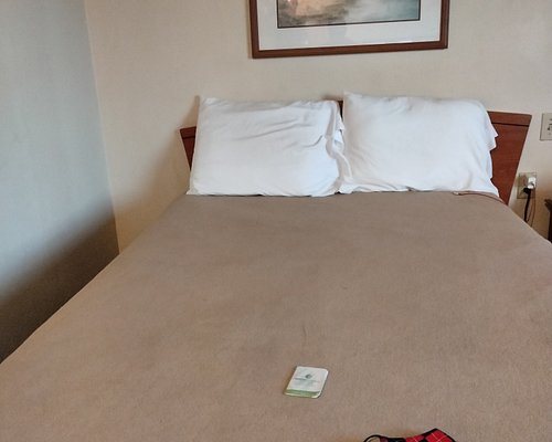 WoodSpring Suites Macon West — Guest room