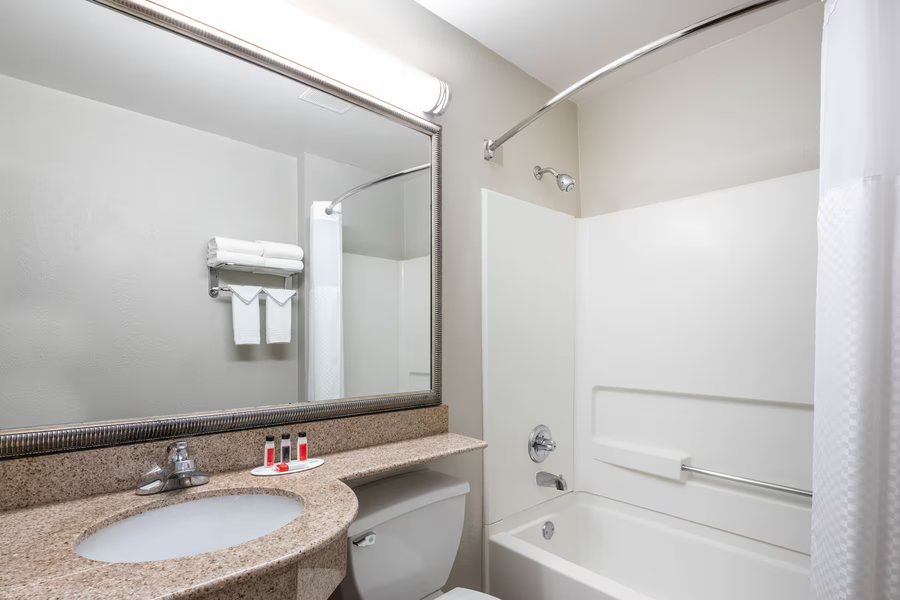Wyndham Atlanta Buckhead Hotel Conference Center — Bathroom