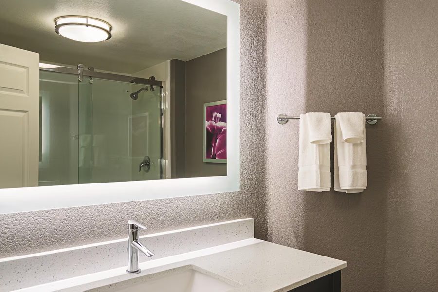 Wyndham Denver Tech Center Hotel — Bathroom