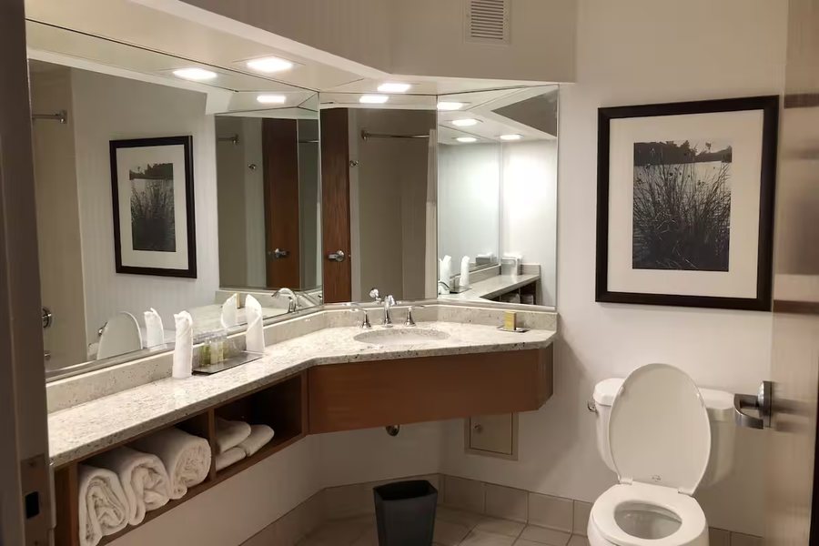 Wyndham Garden Buffalo Downtown — Bathroom